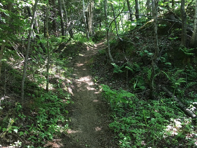 img23