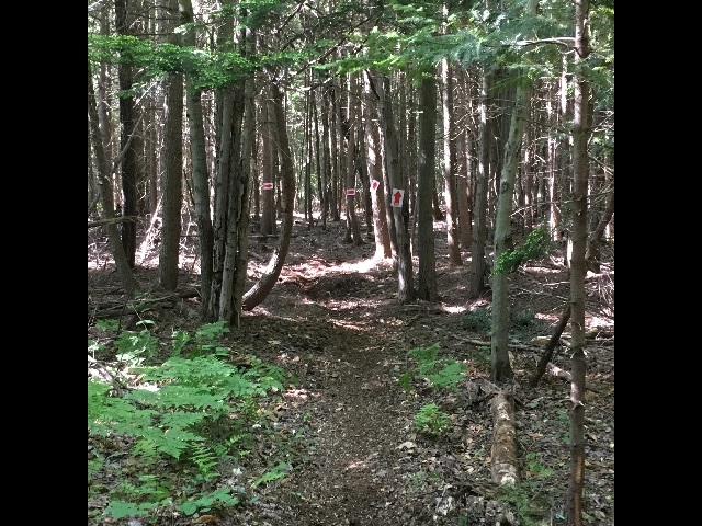 img25