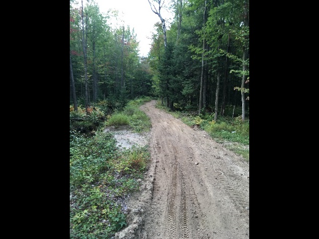 img29
