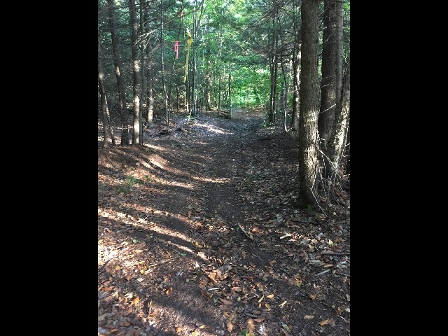 img31